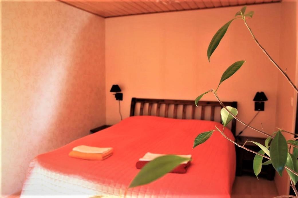 Your Apartment *